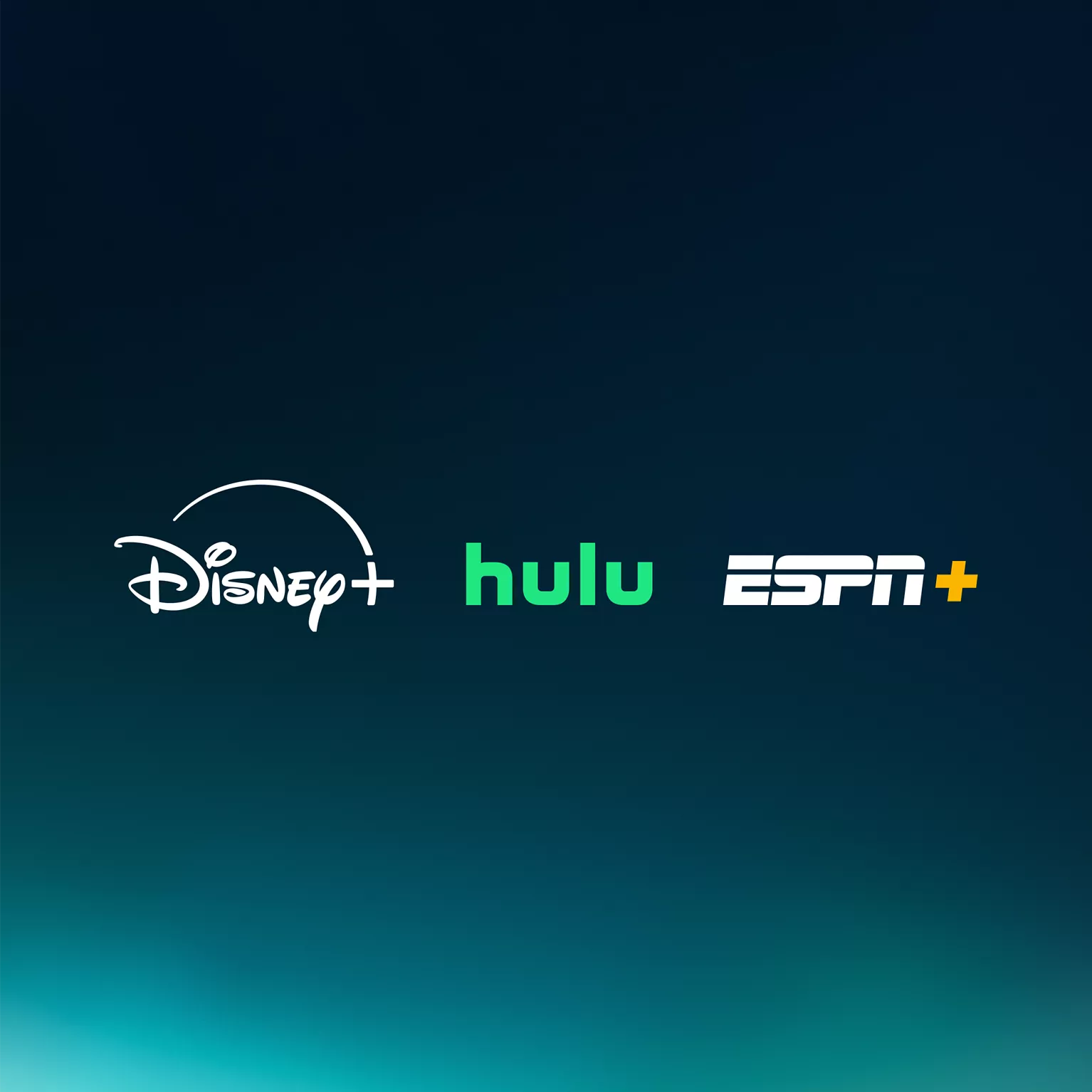 disney perk