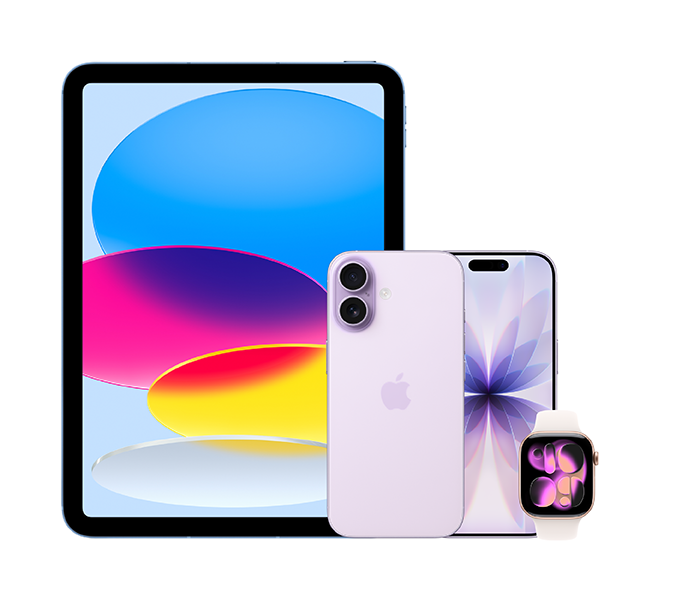 Holiday Apple Bundle