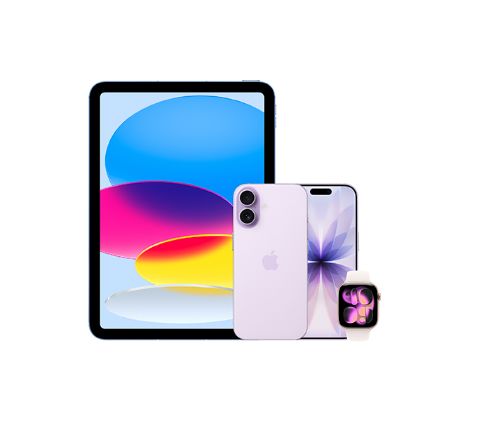 Holiday Apple Bundle