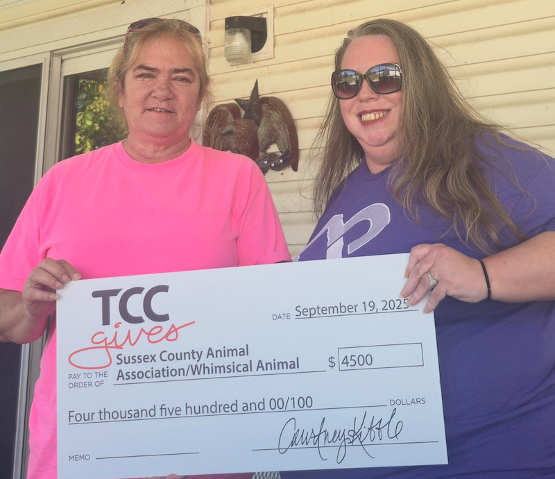 Whimsical animal grant