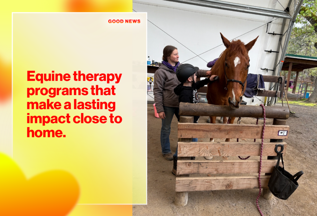 Banner with bold red headline about equine therapy on a yellow gradient; a chestnut horse being cared for in a stable on the right.