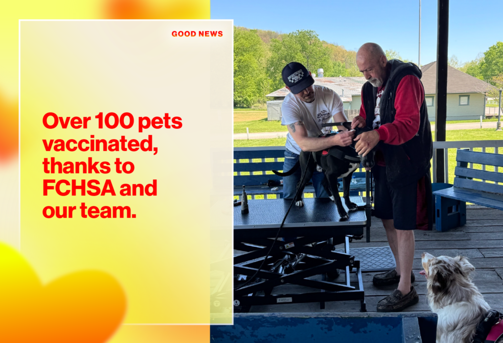 Banner text reads: 'Over 100 pets vaccinated, thanks to FCHSA and our team,' with two men treating a dog on a grooming table outdoors. Good News label visible on top left.